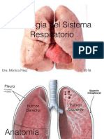 5 - Fisiologia Respiratoria
