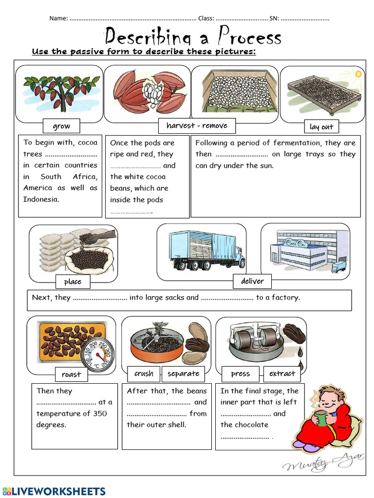 Before The Class Describing Process Chocolate PDF