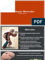 8 - Fisiologia Muscular