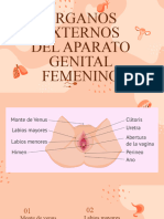 Aparato Genital Femenino.