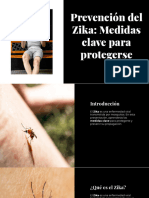 Pancarta Preventiva Sobre El Zika
