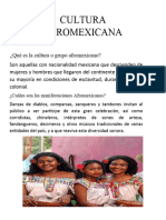 Cultura Afromexicana