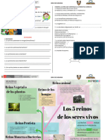 Ficha de Trabajo N°08 Clasificación de Los Seres Vivos