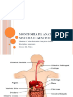 Sistema Digestório