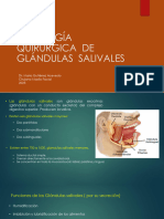 Clase 1 Glandulas Salivales 2023 TEO