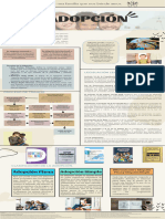 Infografia de La Adopción