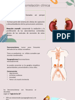 Patologias Renales