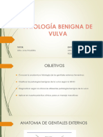 Patologia Benigna de Vulva 1
