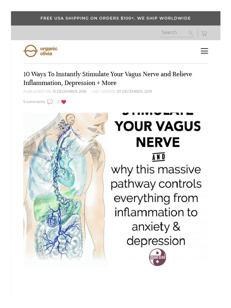 Vagus Nerve PDF Vagus Nerve Heart Rate