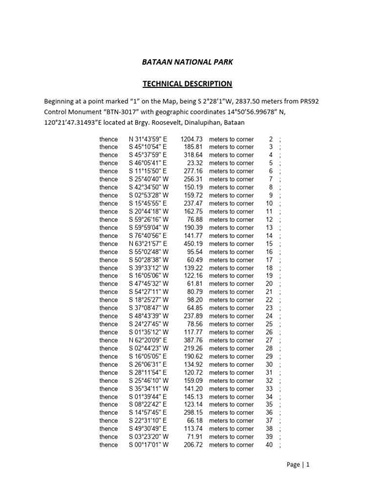 BNP Technical Description PDF