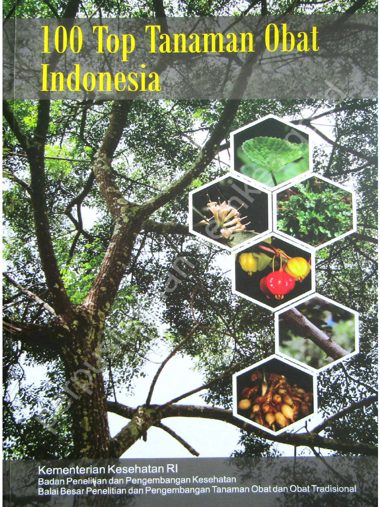 100 Top Tanaman Obat Indonesia Pdf