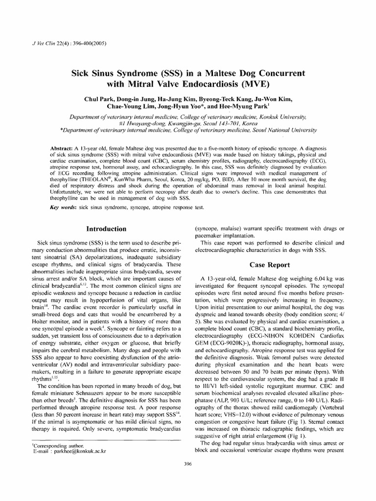 Sick Sinus Syndrome (SSS) in A Maltese Dog Concurrent With Mitral Valve