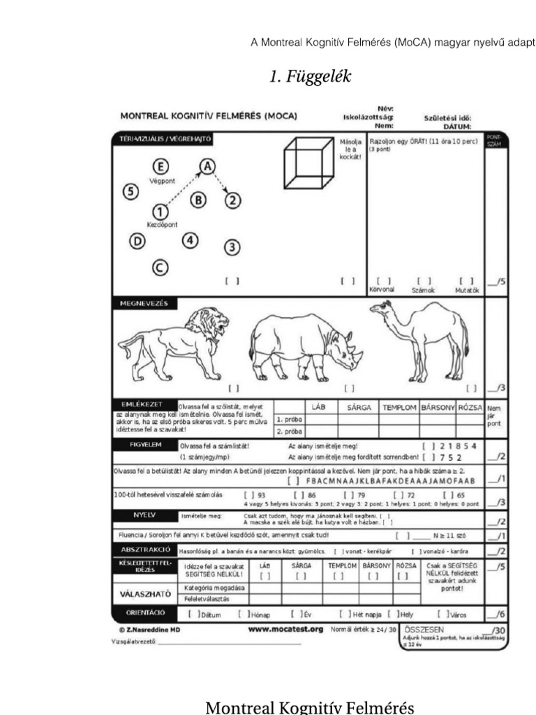 Moca PDF