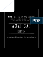 Aozi Cat Kitten