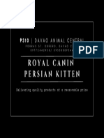 RC Persian Kitten