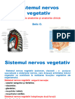 Sistemul nervos vegetativ 2