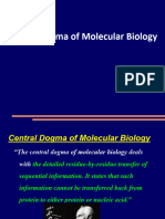 6-Central Dogma of Molecular Biology