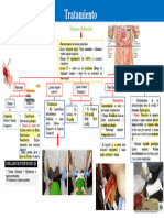 Tratamiento Trauma Abdominal