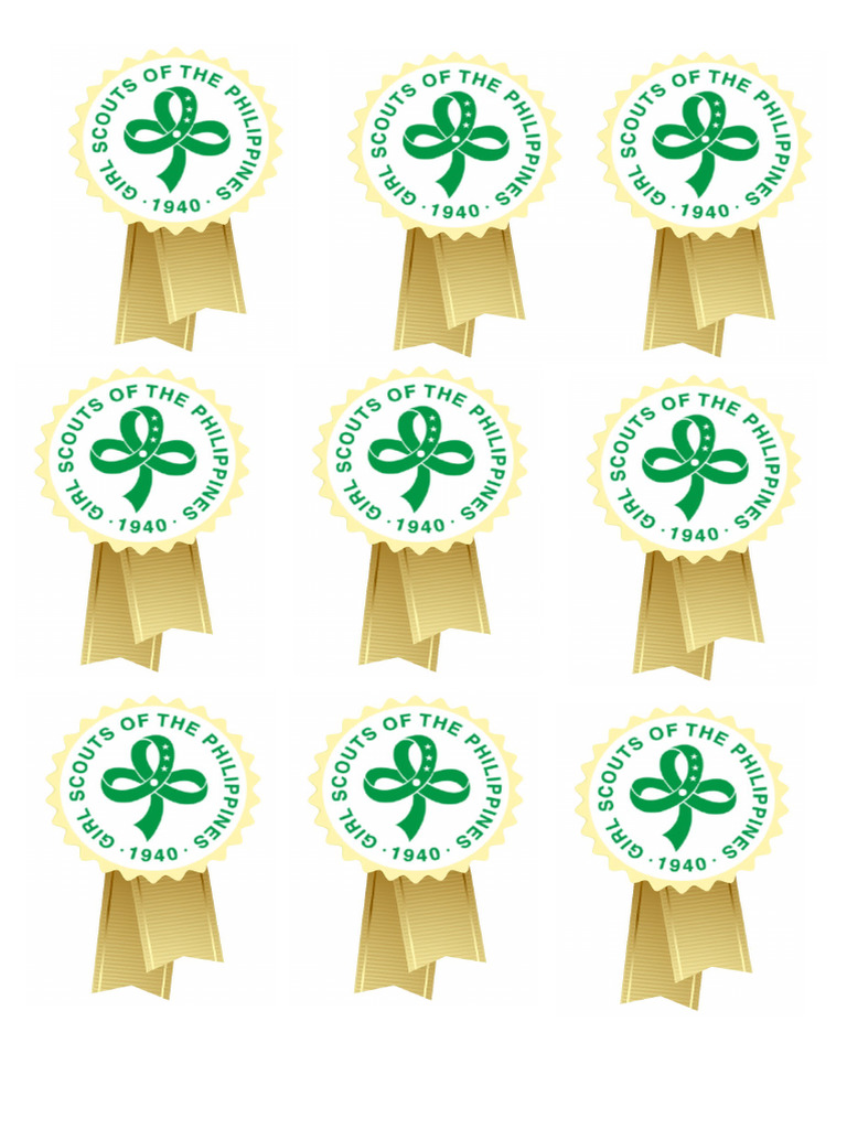 Gold Ribbon Star Scout | PDF