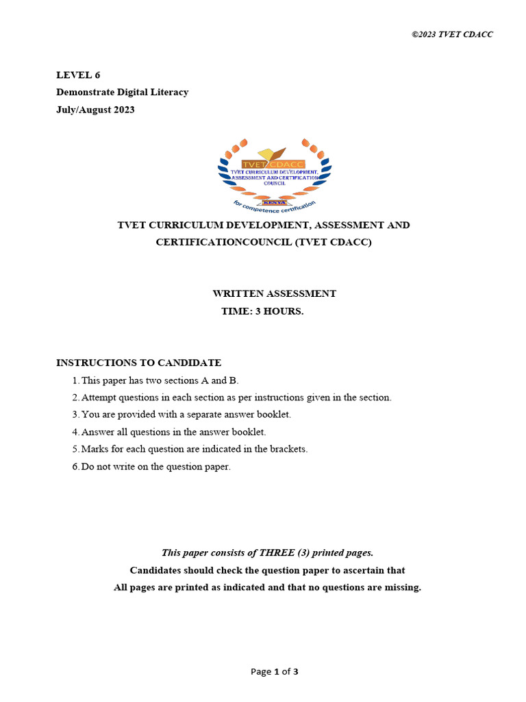 Level 6 Digital Literacy Assessment 2023 | PDF | Microsoft Excel ...