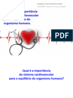 cn9 Sistema Cardiovascular