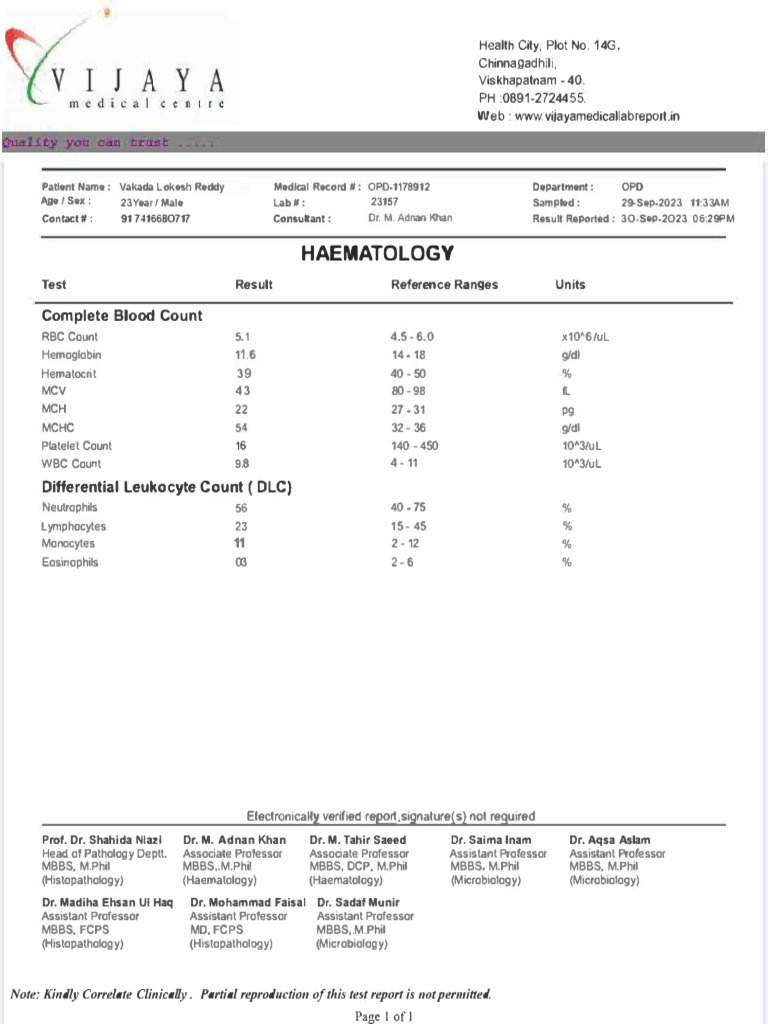 Patient Hematology Report Summary | PDF | Science & Mathematics