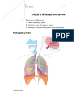 Module 5 - THE RESPIRATORY SYSTEM