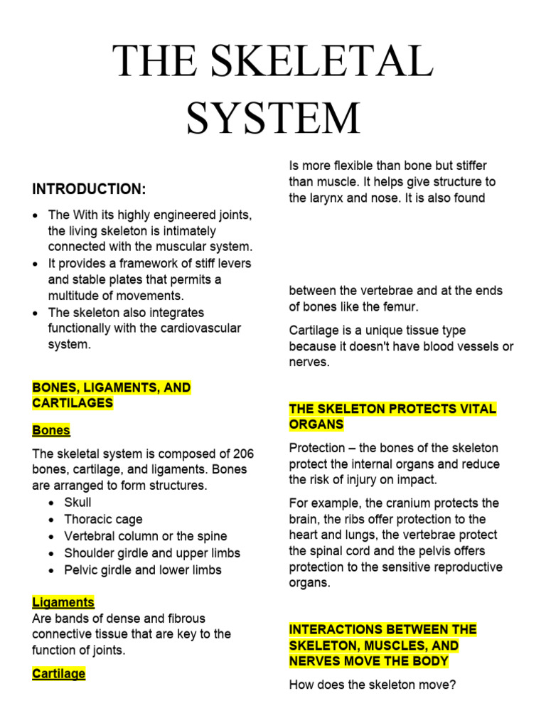 The skeletal system pdf skeleton skull
