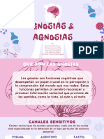 Gnosias y Agnosias