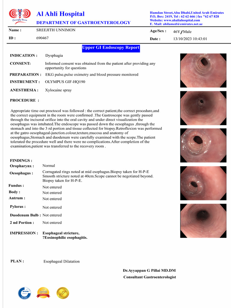 OGD Report 690467 PDF
