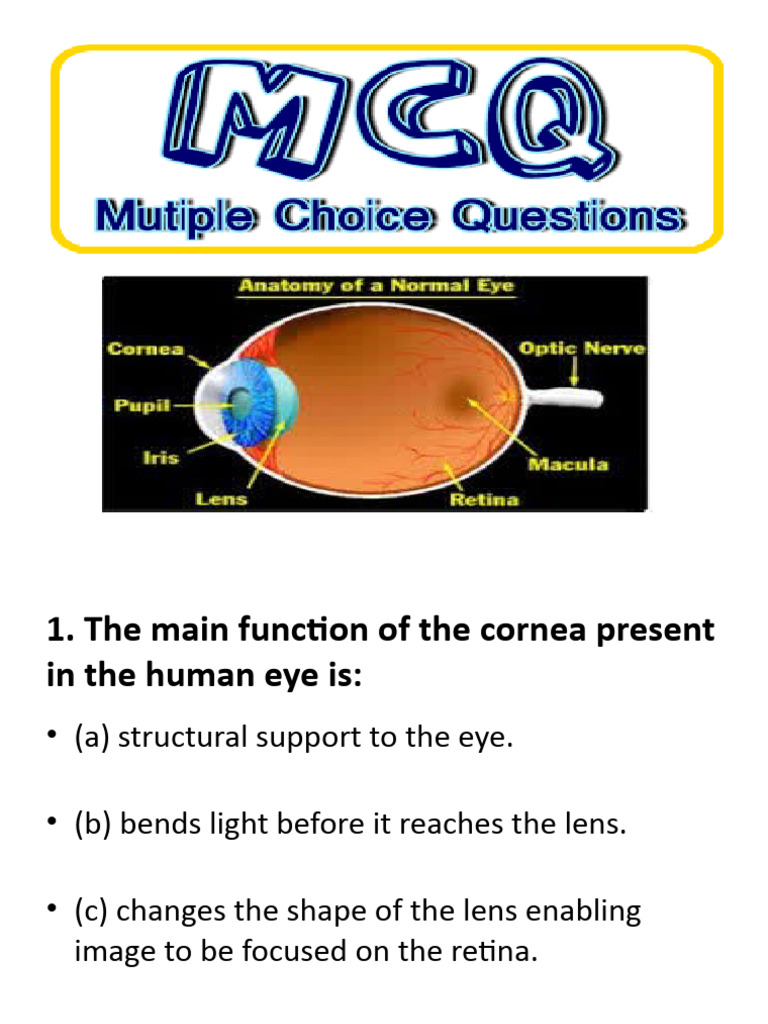 MCQS On Eye PDF Eye Human Eye