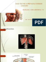 Diafragma Aorta Abdominal y Vci