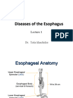 Lecture 1-Esophagus