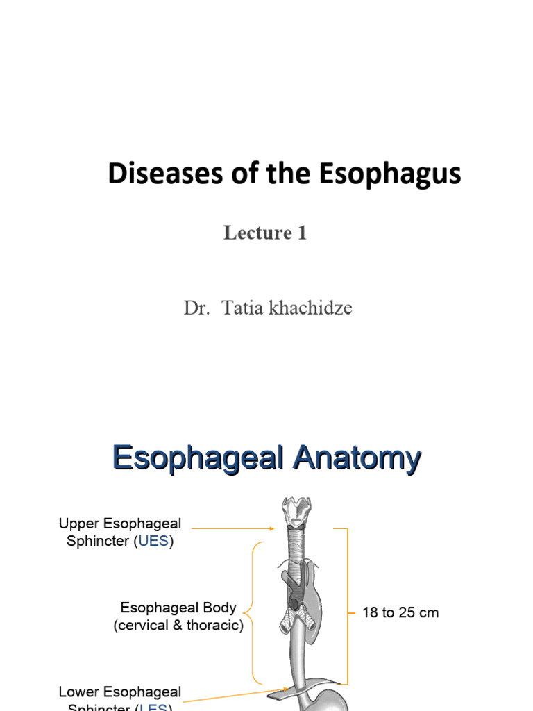 Lecture 1-Esophagus | PDF | Esophagus | Gastroesophageal Reflux Disease