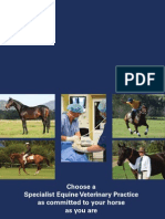 Scone Equine Hospital Performance Horse Newsletter Australian Stock Horse Version