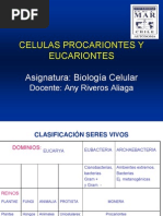 Celulas Procariontes y Eucariontes