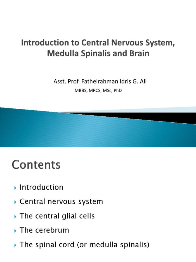 CNS Histology 1 | PDF | Central Nervous System | Nervous System