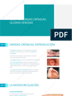 05-01 Heridas Crónicas - Úlceras Venosas