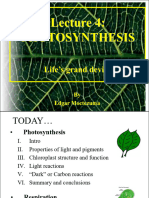 Photosynthesis