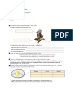 Test Sprawdzajacy Po Dziale V Kregowce Stalocieplne