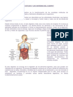 Los Sistemas Del Cuerpo