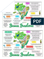 Biomas Brasileiros 1