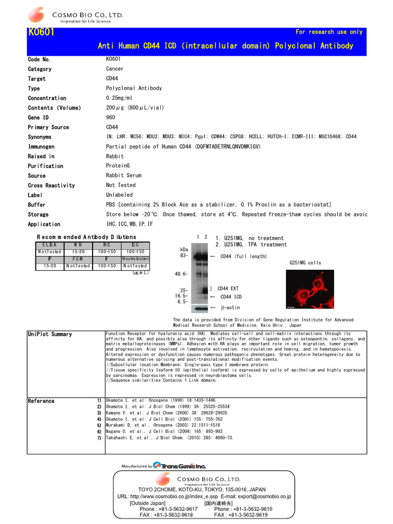 Kal Ko601 Anti Cd44icd Pab Datasheet Pdf