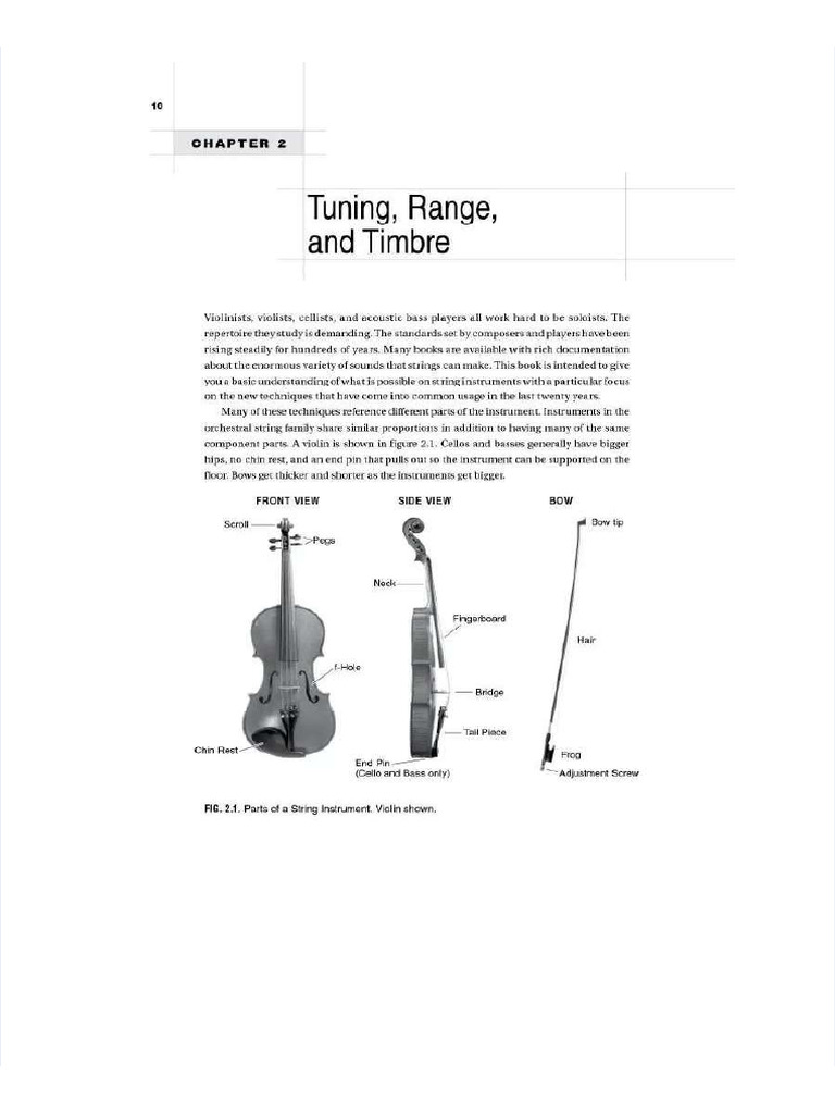 Extracto Mimi Rabson Pdf