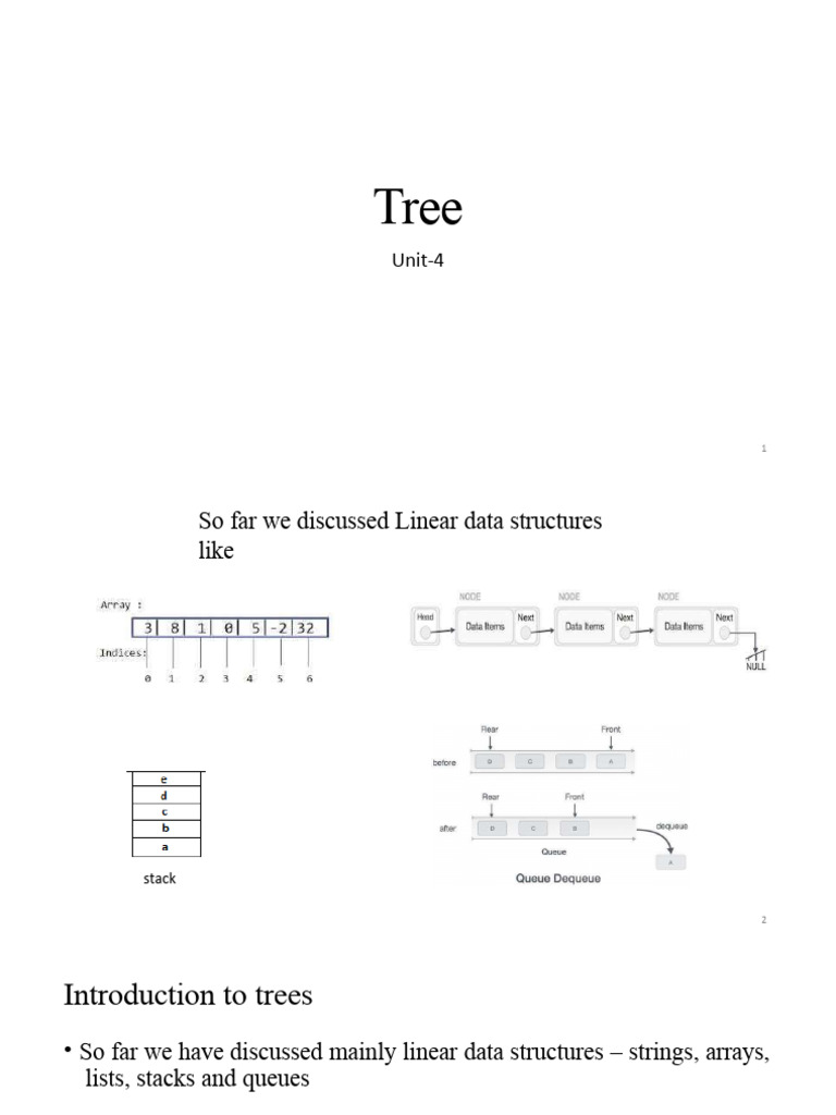 Trees | PDF