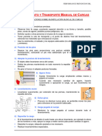 2-Lev. Manual Cargas Resumen