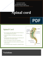 Spinal Card