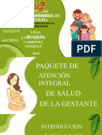 Paquete de Atencion Integral de Salud de La Gestante