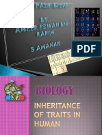 ABO Blood Group Inheritance and Rhesus Factor