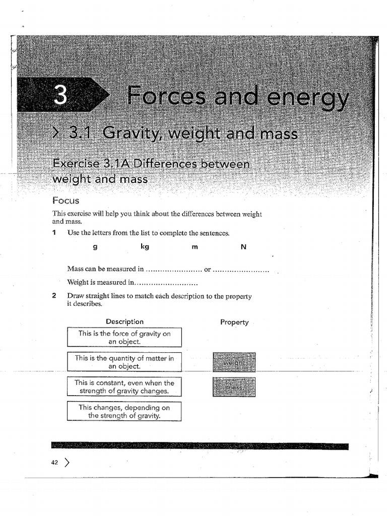 Grade 6-Workbook Chapter 3 | PDF